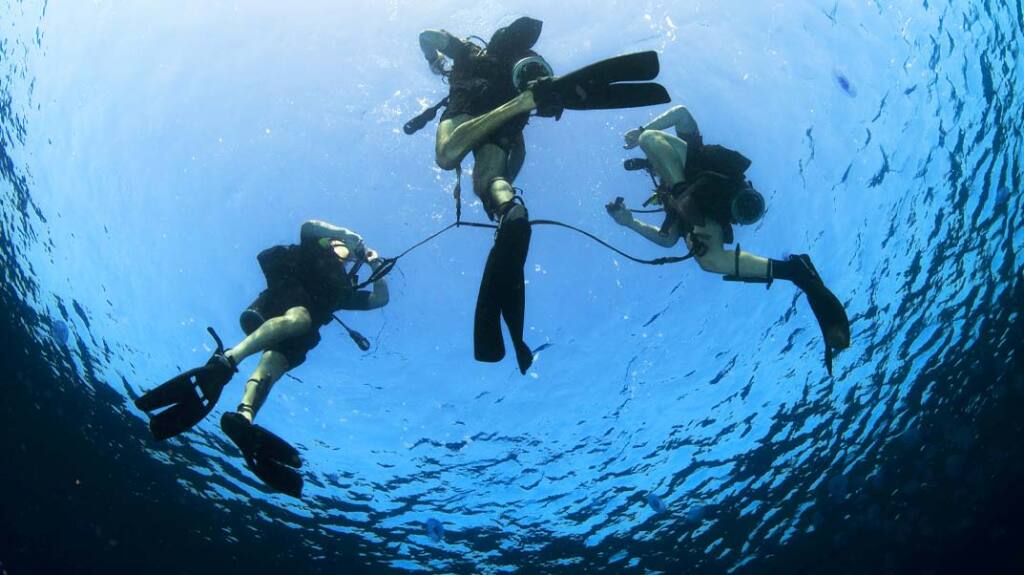 Learn to become a scuba diver in Malta